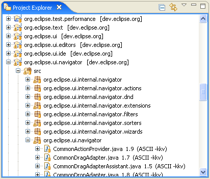 Picture showing the project explorer view