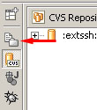 Resource Perspective