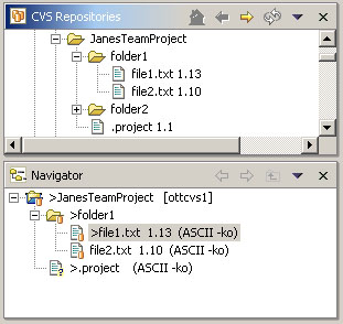 Repositories View and Navigator View