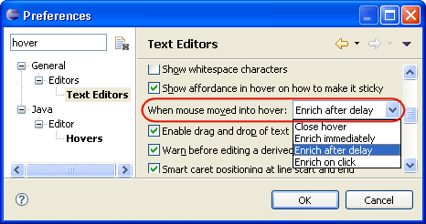 Picture showing the text editor preferences